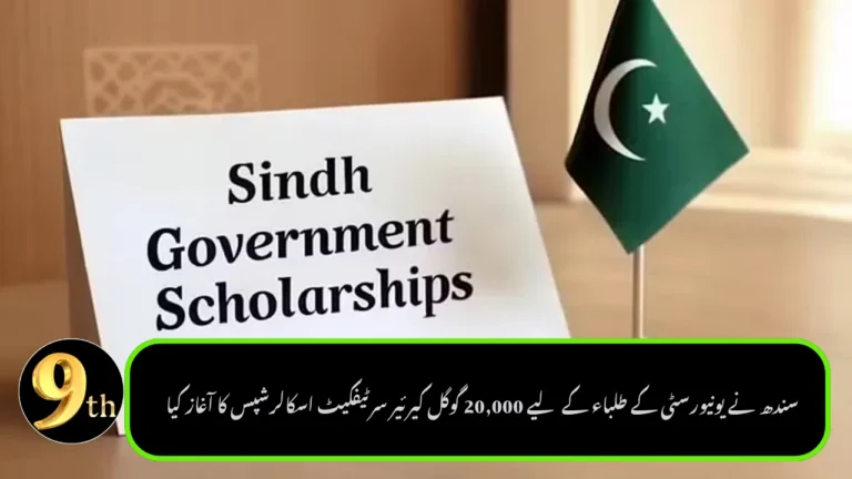Sindh Launches 20,000 Google Career Certificate Scholarships for University Students